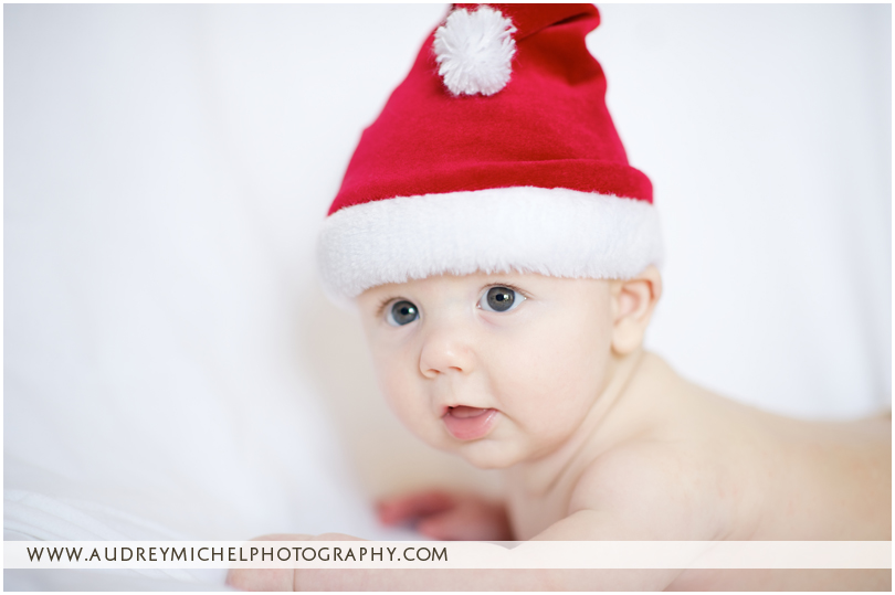Denver Newborn Portraits, Denver Family Photographer, Denver Baby Photographer